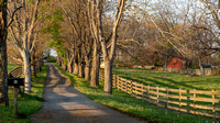 Pentleton Farm May 2022