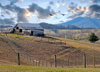 Landscapes of Wytheville, Rural Retreat, Hungry Mother, Va Feb. 2015